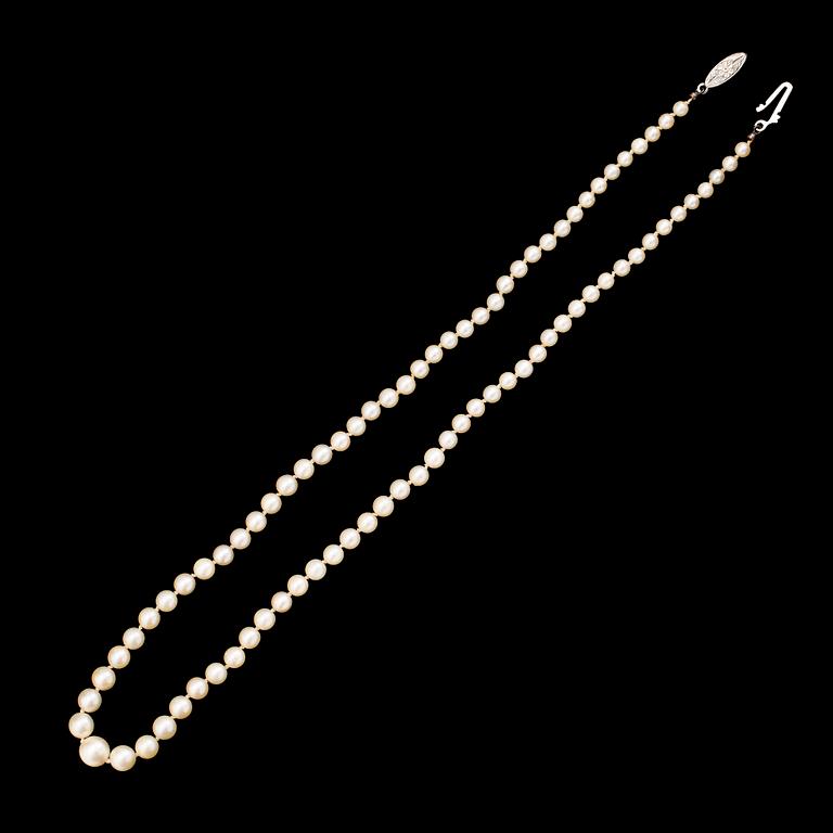 PÄRLCOLLIER, odlade pärlor, lås 18K vitguld.