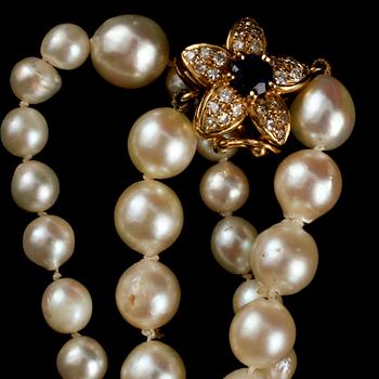 COLLIER, odlade pärlor, lås i 14k guld med 25 små briljantslipade diamanter samt fasettslipad blå safir.