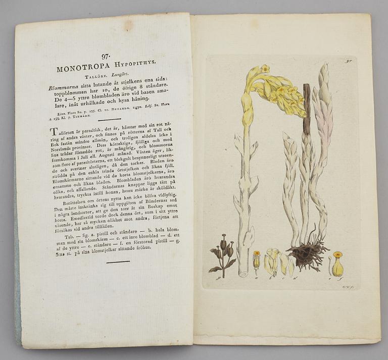 JOHAN WILHELM PALMSTRUCH, "Svensk Botanik, vol I-V. 1803-1805.