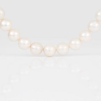 COLLIER, odlade vita sötvattenspärlor med kulformat magnetlås i förgyllt silver.