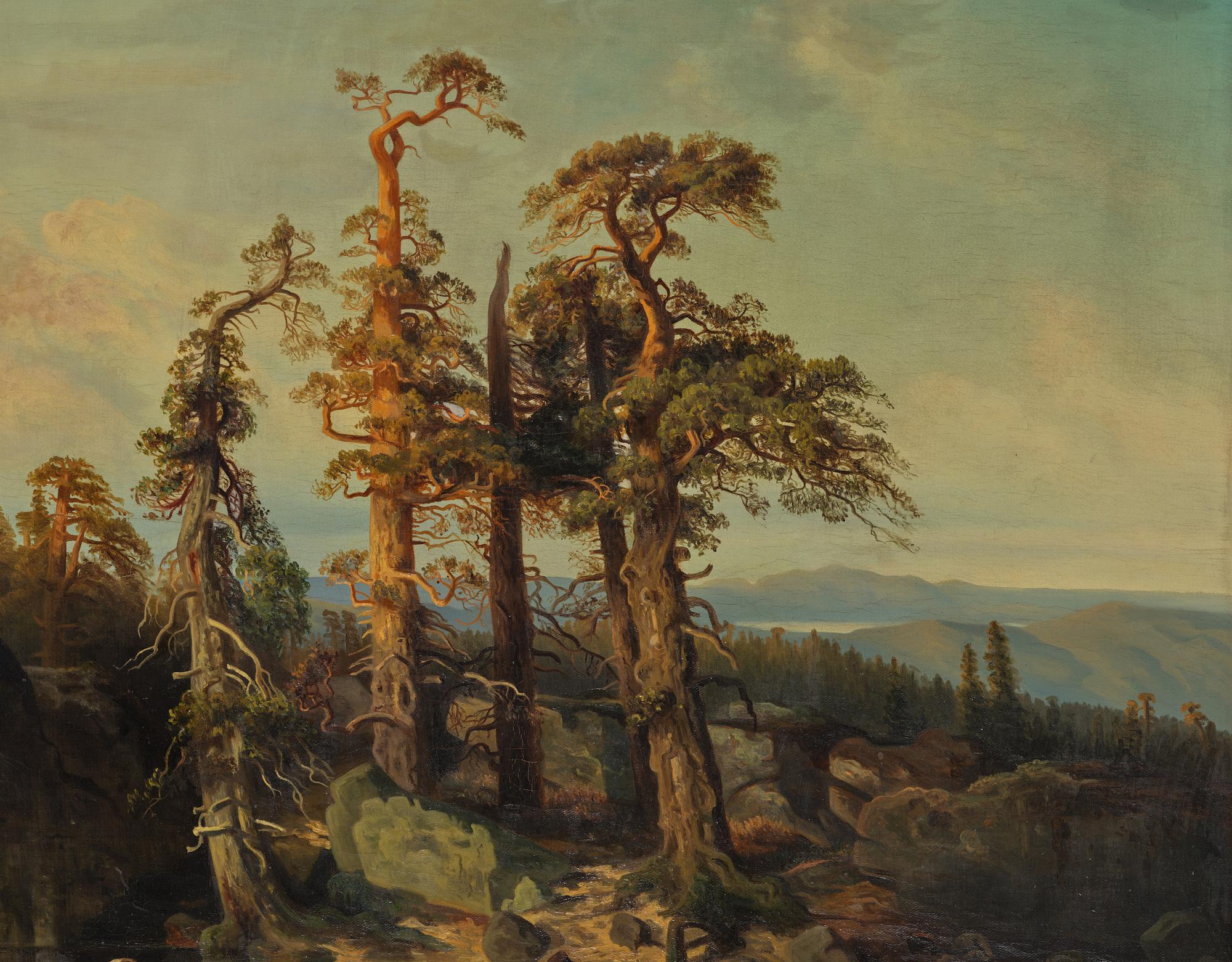 "Tarn in Telemark".