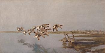 Bruno Liljefors, Geese.