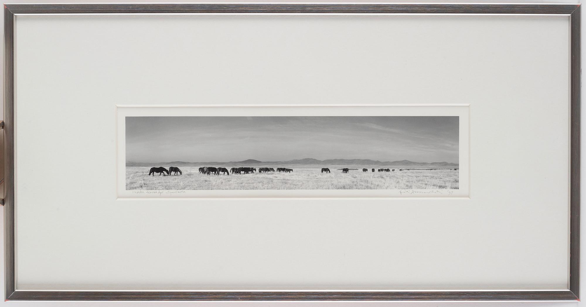 Pentti Sammallahti, "Siperiasta, 1997".
