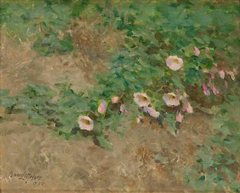 826A. Bruno Liljefors, ("Åkervinda") "Field bindweed".