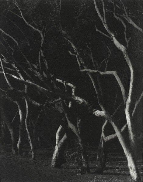 Lennart Olson, "Agadir II", 1979.