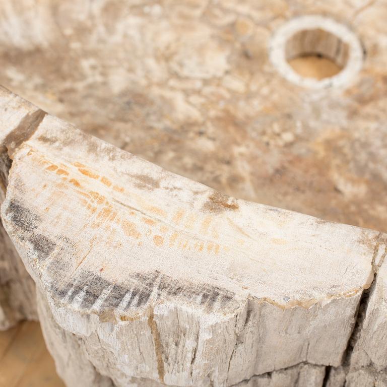 HANDFAT, fossil av förstenat trä.