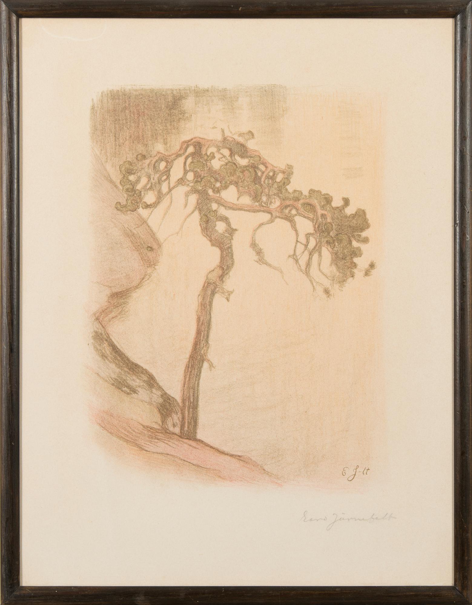EERO JÄRNEFELT, KNOTIG TALL, HALOSENNIEMI.