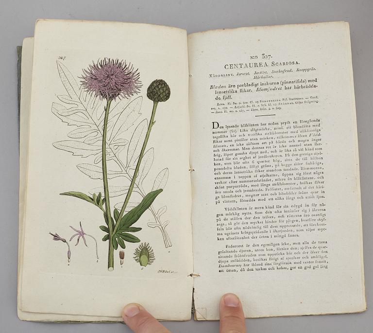 JOHAN WILHELM PALMSTRUCH, "Svensk Botanik, vol I-V. 1803-1805.