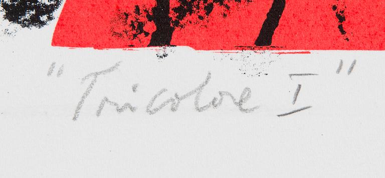 Kuutti Lavonen, "Tricole I".