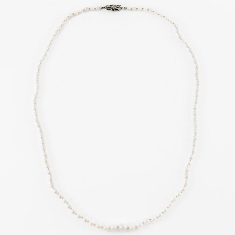Collier med doserade pärlor, lås silver med små safirer.