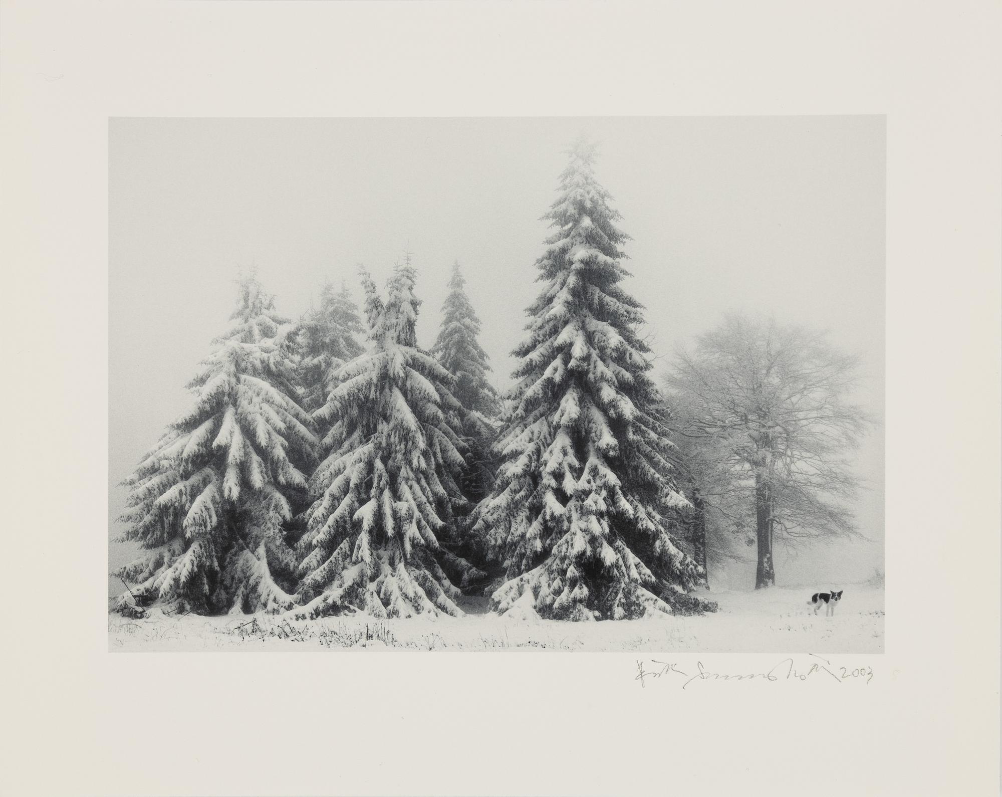 Pentti Sammallahti, "Petrohan, Bulgaria, 2003".