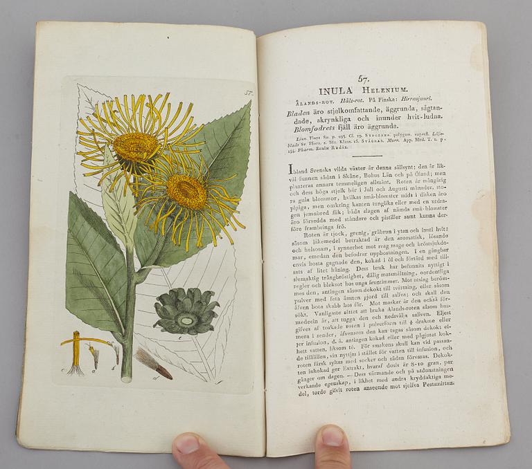 JOHAN WILHELM PALMSTRUCH, "Svensk Botanik, vol I-V. 1803-1805.