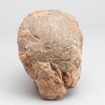 DINOSAURIEÄGG, fossil, enligt intyg omkring 65 milj år gamla.