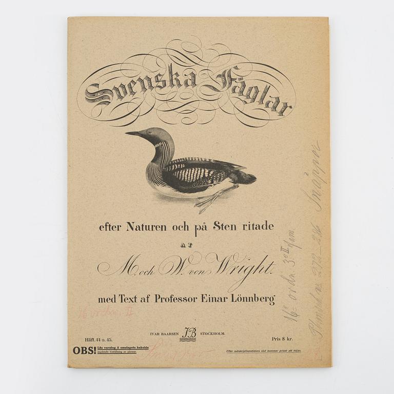 Bröderna von Wright, planschverk, "Svenska Fåglar", Ivar Baarsens förlag, Stockholm, 1920-tal.