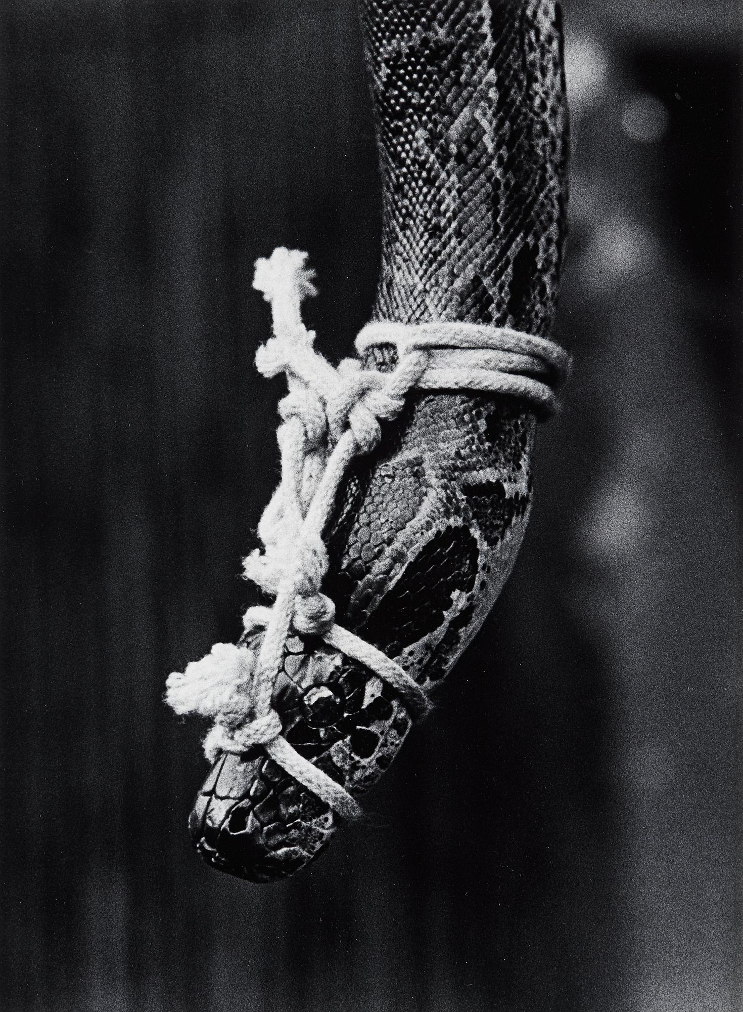 Christer Strömholm, "Pigalle, Paris 1954".