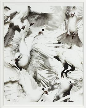 Thomas Klementsson, "Birds", 2004.