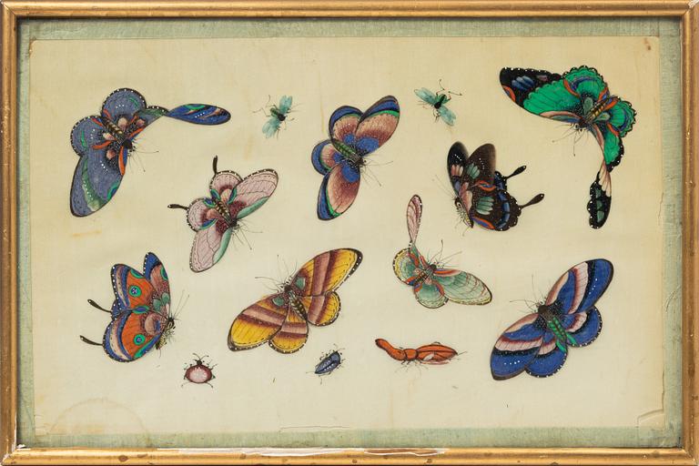 Rispappersmålningar, 9 stycken. Qingdynastin, 1800-tal.