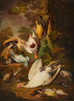792. Jacob Xaver Vermoelen, Still Life with Pet Birds.