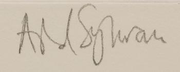 Astrid Sylwan, untitled.