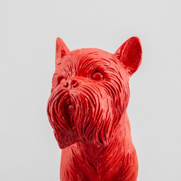 William Sweetlove, "Cloned Griffon Bruxellois with pet bottle" (Red).