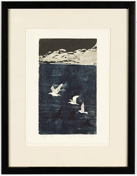 Lars Lerin, Birds in flight.