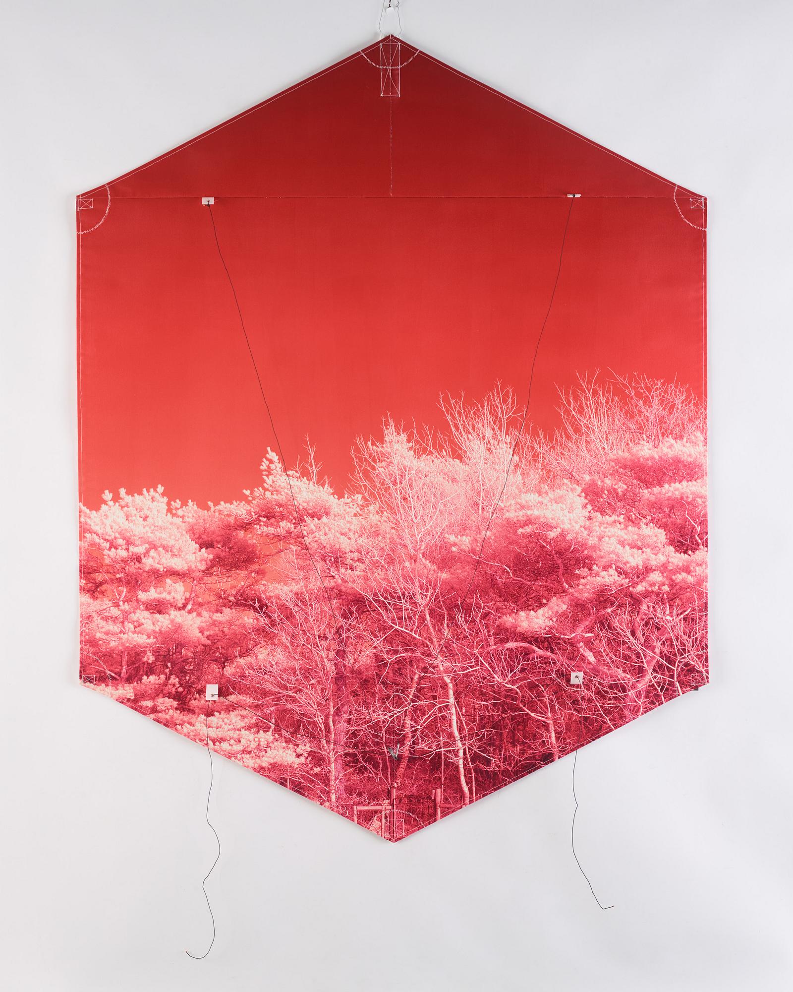 Evan Roth, 'n57.416450e11.934089.se (kite)'.