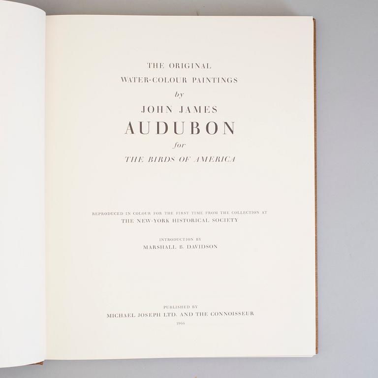 A BOOK, Audubons klassiska fågelbilder, James Audubon.
