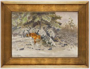 Bruno Liljefors, Fox in a winter landscape.