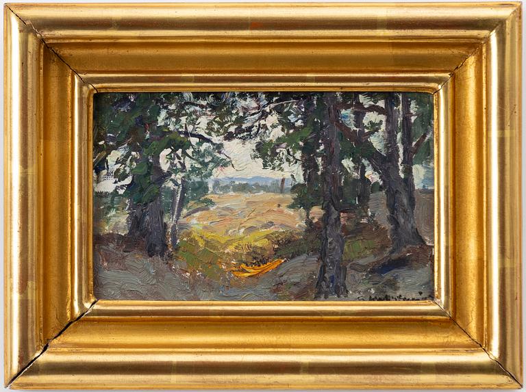 Gottfrid Kallstenius, Forest clearing.