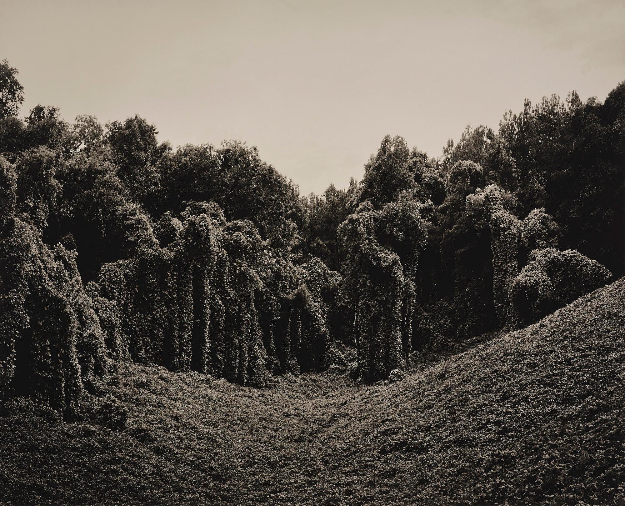 Helene Schmitz, "Alabama Fields", 2013.