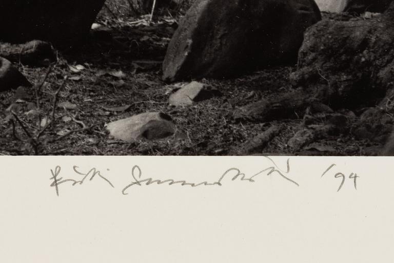 Pentti Sammallahti, "Swayambhunath, Nepal, 1994".