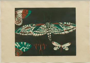 Mamma Andersson, "Nattfly".