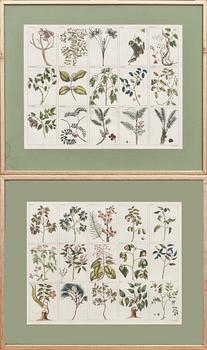 GRAFISKA BLAD, 2 st, 1800-tal.