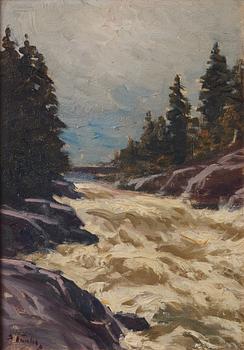 Eugen Taube, Rapids.