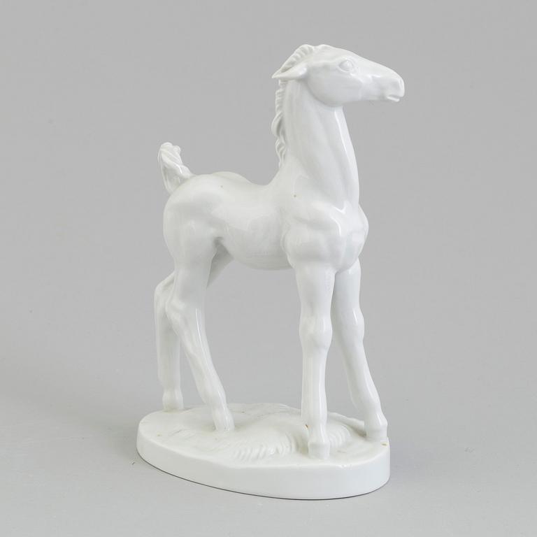 A white glazed Meissen figure of a foal, Germany 1955.