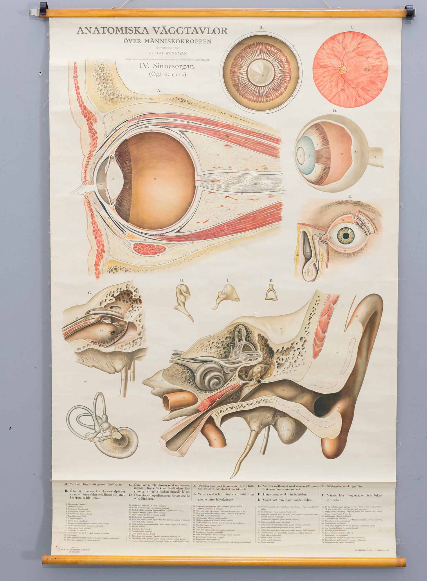 a poster, mid 20th century,