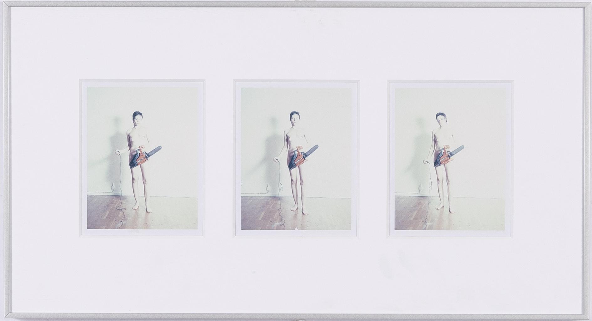 Annika Elisabeth von Hausswolff, "Det sista självporträttet".