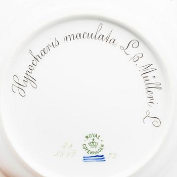 A "FLORA DANICA" PLATE, porcelain, no 20/3547, Royal Copenhagen (1898-1923).