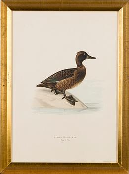 LITHOGRAPHS, 5 pcs, after Wilhelm von Wright and Bror Hallberg. A. Börtzell, Stockholm.