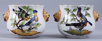 YTTERFODER, 2 st, porslin, Dresdenliknande märke, 1900-tal.
