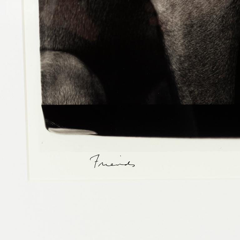 William Wegman, archival pigment print 2009, signed. Numbered 482/1500 verso.