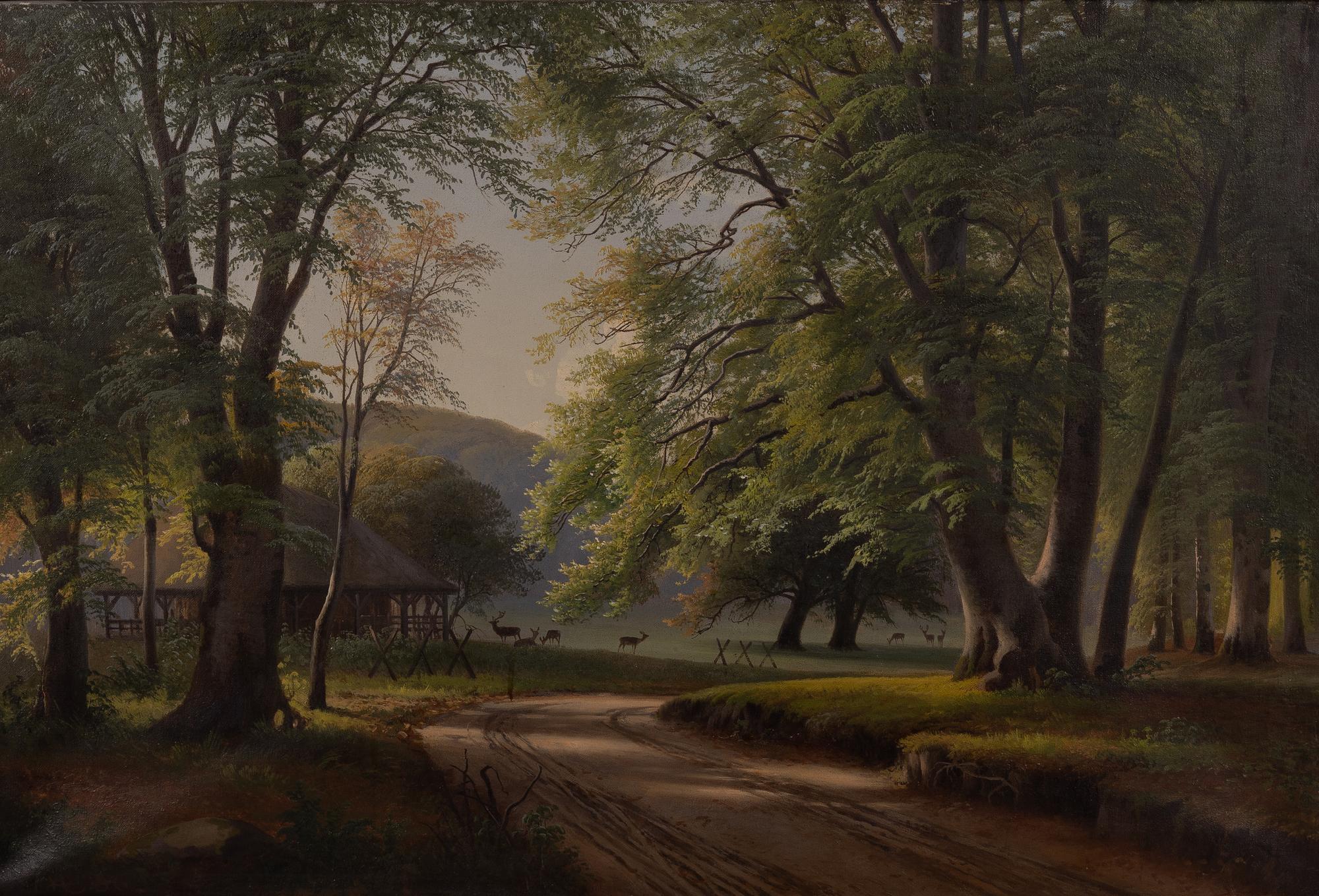 Unknown artist, Forest landscape, Denmark, 19th century.
