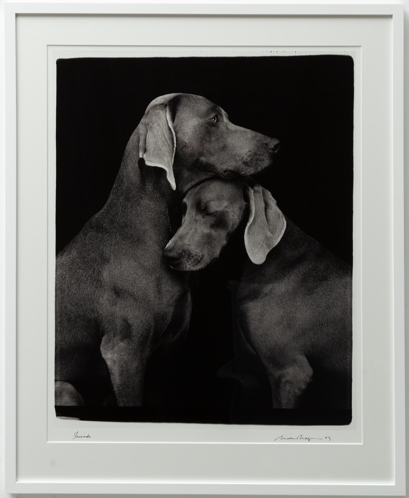 William Wegman, "Friends".