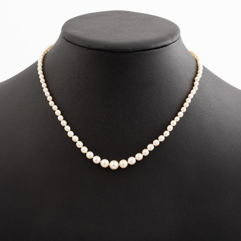 Collier med doserade pärlor, lås vitguld med tre gammalslipade diamanter.