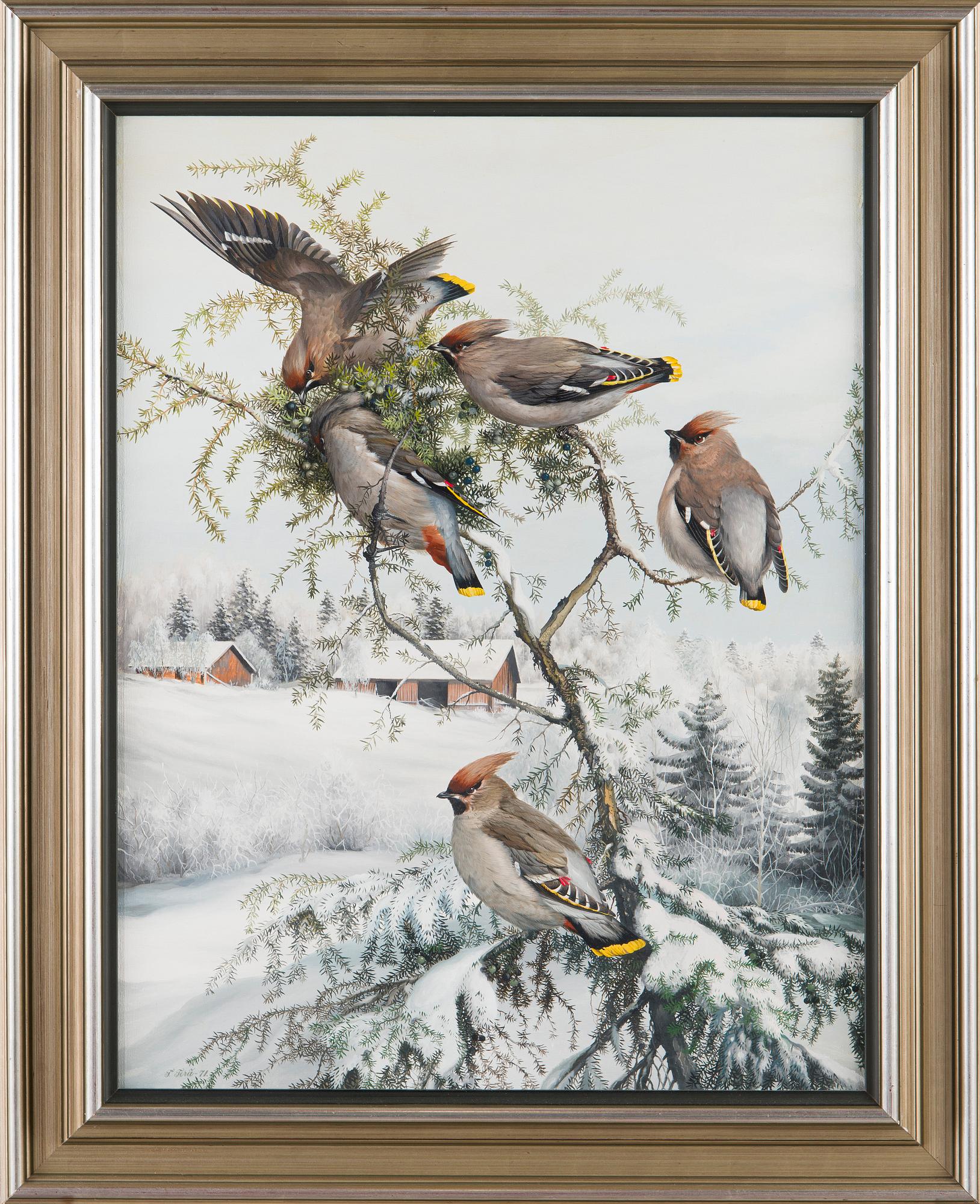 Teppo Terä, Bohemian Waxwings.