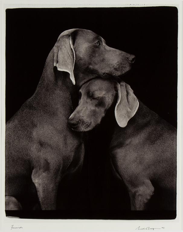 William Wegman, photograph, signed and dated -05.