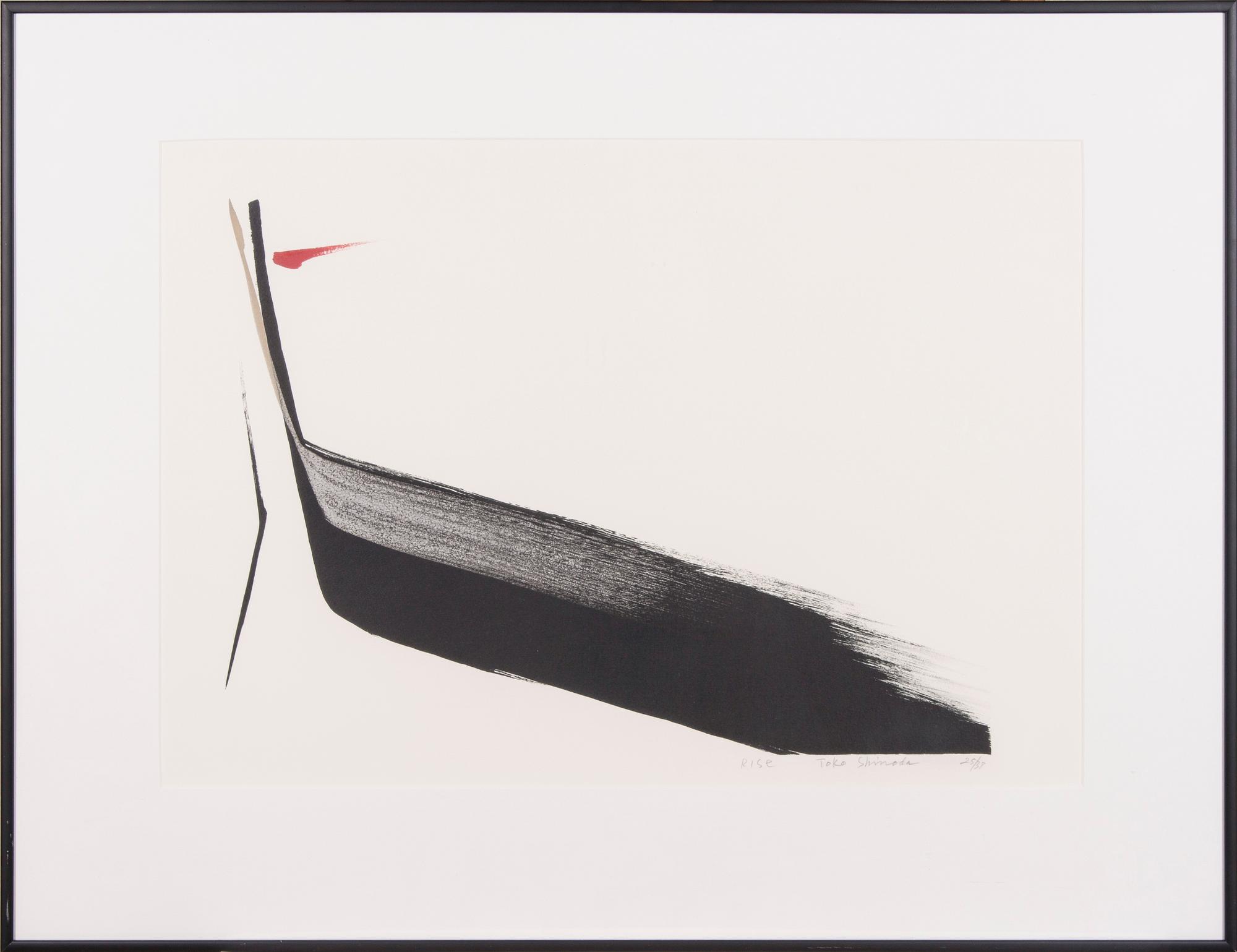 TOKO SHINODA, "RISE".