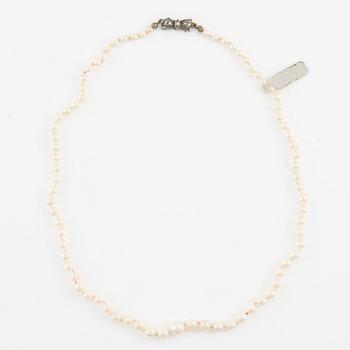 Pärlcollier, tre stycken, odlade pärlor, lås silver, varav ett saknar lås.