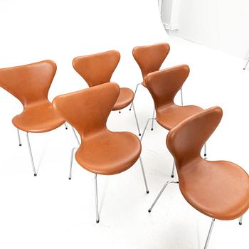 Arne Jacobsen, Chairs, 6, "Series 7", Fritz Hansen, Denmark.