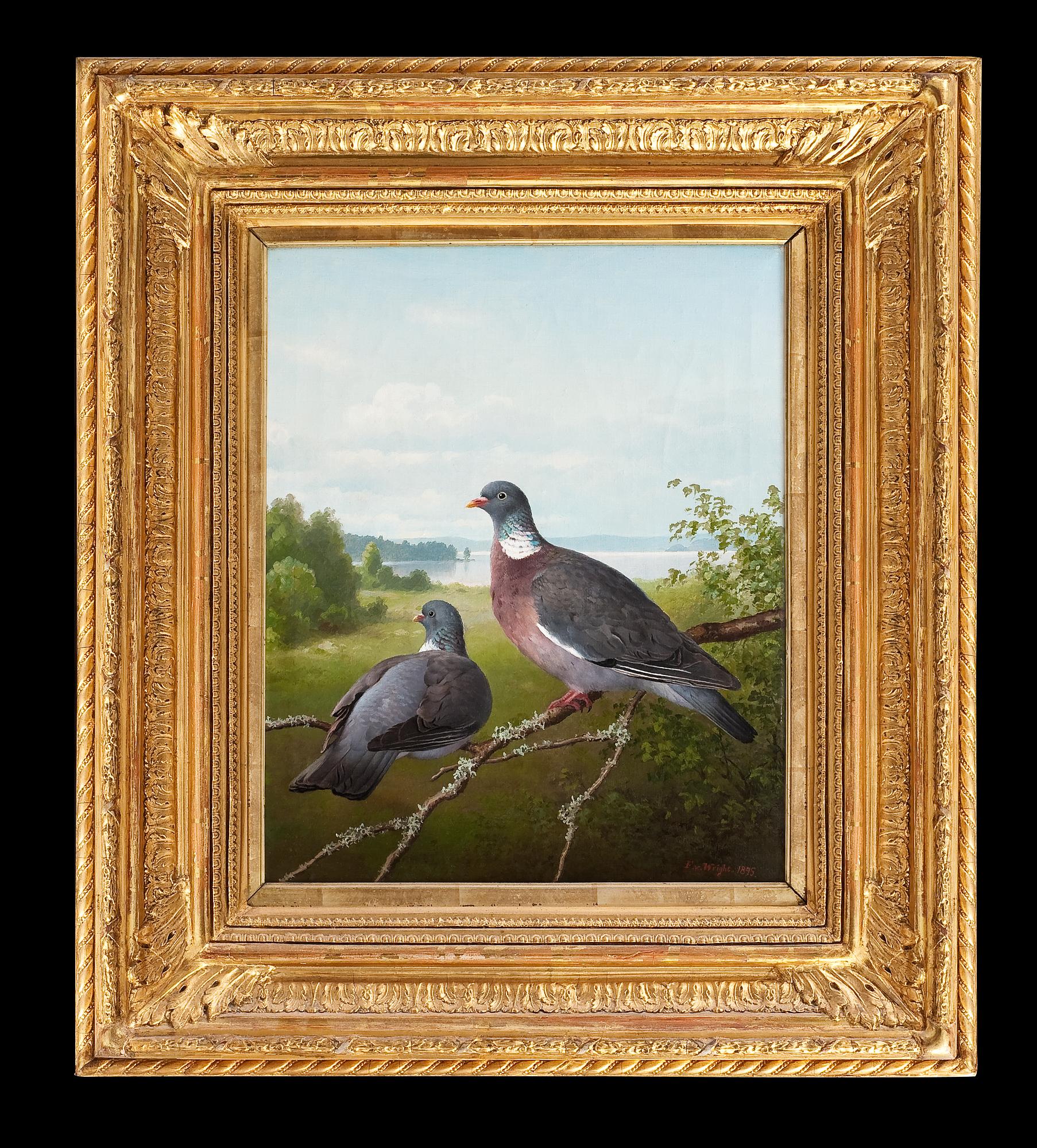 Ferdinand von Wright, PIGEONS.